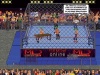 PC Federation wrestling