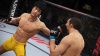 PS4 EA Sports UFC - Ultimate Fighting Championship