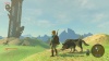 WiiU The Legend of Zelda: Breath of the Wild