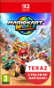 NS2 Mario Kart World
